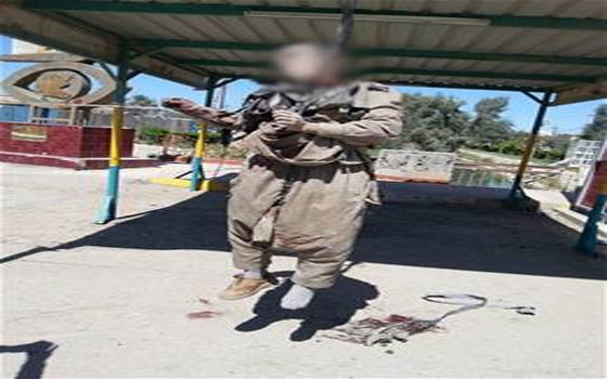   مصر اليوم - مقتل الزَّرقاوي الصَّغير وتعليق جثته ونزوح العشرات من عوائل بهرز إثر تدهور الوضع الأمني