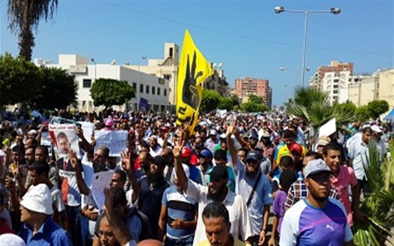   مصر اليوم - رفعت السَّيد يُؤكِّد أنَّ الحكم بالإعدام على 529 إخوانيًّا غير مسبوق