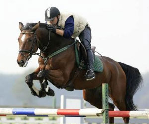 مصر اليوم - إختتام دورة الوفاء لفروسية قفز الحواجز في سورية