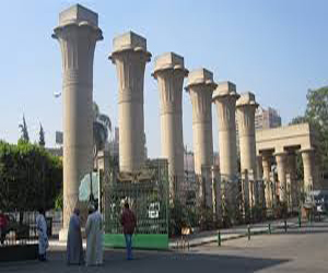   مصر اليوم - جامعة عين شمس تفتتح مهرجان يوم الشُّعوب بمشاركة 12 دولة