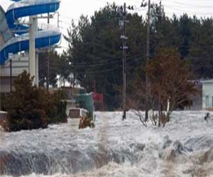   مصر اليوم - ألمانيا تدريب اندونيسيين على نظام إنذار مبكر من أمواج تسونامى