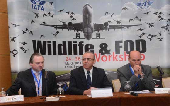 مصر اليوم - وزير الطَّيران يُؤكِّد على دعم الأبحاث لإيجاد حلول مبتكرة للوقاية من أخطار الحياة البريَّة