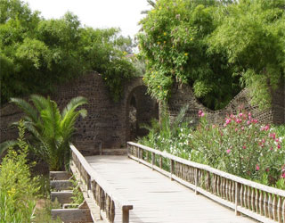 مصر اليوم - حديقة أولهاو تغّري زوّارها بفضائها الطبيعي