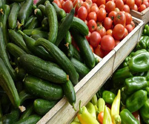   مصر اليوم - مخفوق الخضروات إتجاه صحي جديد