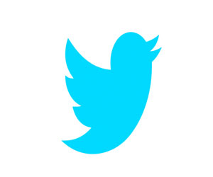   مصر اليوم - .تويتر تختبر إظهار عدد مُشاهدات التغريدة