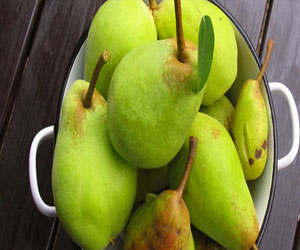   مصر اليوم - رائحة الكمثرى تساعد في تخفيف الوزن