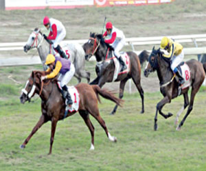   مصر اليوم - نادي الفروسية في جدة يقيم حفل سباقه الـ21 الخميس