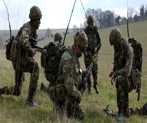   مصر اليوم - الجيش البريطاني يفجر خنازير في اختباراته العسكرية