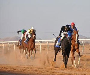   مصر اليوم - نادي الفروسية في حائل يقيم سباق الخيل الـ 15