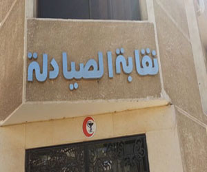   مصر اليوم - نقابة الصيادلة في الإسماعيلية تؤيد السيسي رئيس