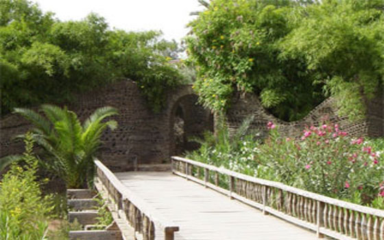 مصر اليوم - حديقة أولهاو تغّري زوّارها بفضائها الطبيعي