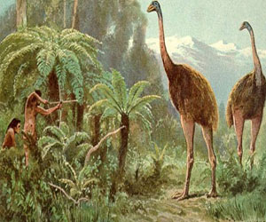   مصر اليوم - الإنسان سبب الإنقراض المفاجىء للطيور