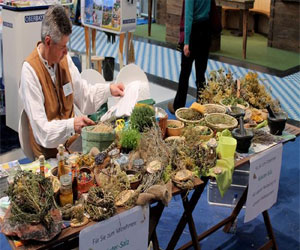   مصر اليوم - مهاجرون عرب يعالجون بالحجامة والطب الشعبي القديم