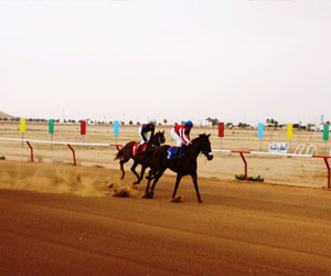   مصر اليوم - فروسية المجمعة السعودية تقيم حفل سباقها الثالث والعشرين الاثنين