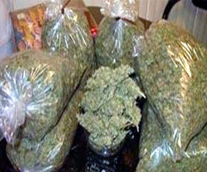 مصر اليوم - توقيف متهم في 18 قضيّة وفي حوزته 35 لفافة بانجو