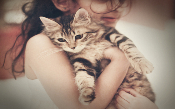   مصر اليوم - قطٌ مُصاب ينقلُ مرض السُل إلى فتاةٍ انكليزيّة وتُعاني من تلفٍ رئوي حاد