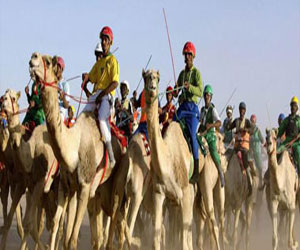   مصر اليوم - انطلاق سباقات مهرجان الهجن العربية الأصيلة في الإسماعيلية