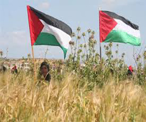   مصر اليوم - معرض تراثي في غزة تخليدًا لـيوم الأرض