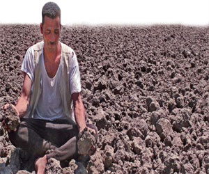   مصر اليوم - مزارعو الإسماعيليّة يعانون من نَقص الأسمدة والمبيدات وديون بنك التنميّة