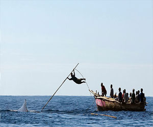  مصر اليوم - منع اليابان من اصطياد الحيتان في المحيط الجنوبي