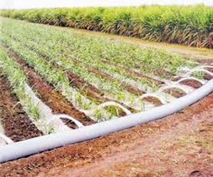   مصر اليوم - استعدادات لتوفير مياه الشرب بكافة الأحياء خلال الصيف