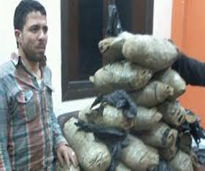 مصر اليوم - أمن قنا يوقف 3 متهمين بحوزتهم بنادق آلية ومخدر البانجو