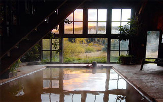 مصر اليوم - الرّومانسيَّة في منتجع Colorado Spring