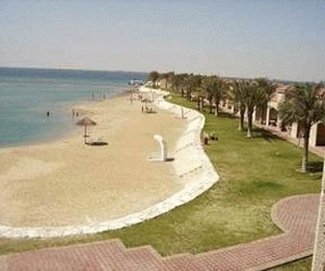   مصر اليوم - بوصلة تنمية البيئة البحرية تنهض بشواطئ الشرقية السعودية