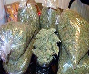 مصر اليوم - توقيف سكسك وبحوزته 5 كيلو بانجو