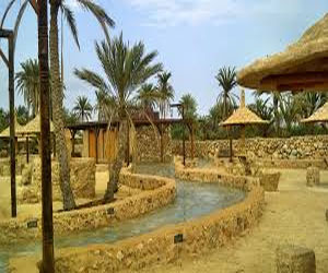   مصر اليوم - افتتاح مهرجان العيدابي السياحي في جازان الخميس