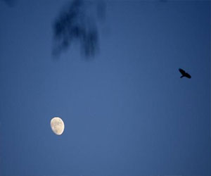   مصر اليوم - علماء يتوصلون إلى طريقة جديدة لتحديد عمر القمر