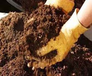   مصر اليوم - شرطة البيئة تضبط كبريت زراعي غير مطابق في الإسماعيليّة