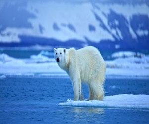 مصر اليوم - تقرير دولي: التغير المناخي يهدد مستقبل البشرية