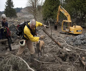   مصر اليوم - ارتفاع ضحايا الانهيار الطيني في واشنطن إلى 28 شخصًا