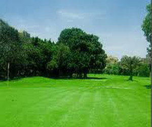   مصر اليوم - 180 مليون جنيه لتطوير مركز شباب الجزيرة