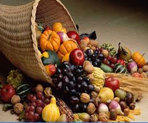   مصر اليوم - اجتماع لفريقالإنذار الخليجي السريع للغذاء في أبوظبي