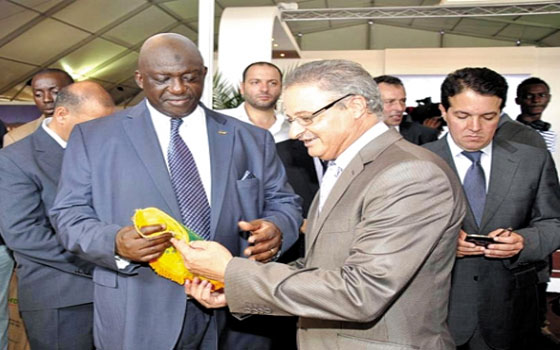   مصر اليوم - الكرتيلي وأقصبي يتحدان لتكوين لائحة تنافس على رئاسة اتحاد كرة القدم المغربي