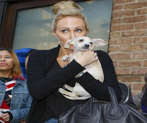   مصر اليوم - النجمة الأميركية مايلي سايروس تفقد كلبها المحبب