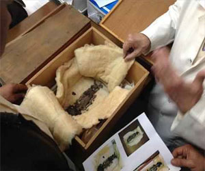   مصر اليوم - المتحف المصري الكبير يستقبل أجنة بنات توت عنخ آمون