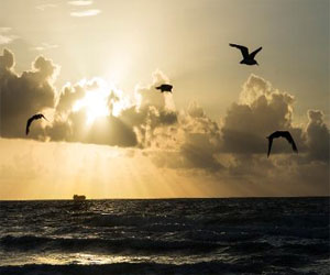   مصر اليوم - أشعة الشمس الصباحية تساعد في محاربة البدانة