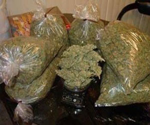   مصر اليوم - ضبط 120 كيلو بانجو وسلاحين آليين بحوزة عاطلين في الأقصر