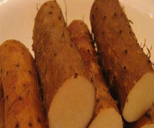   مصر اليوم - فيتامين أ يساعد علي تحويل الخلايا السرطانية الي خلايا طبيعية