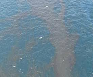   مصر اليوم - تشكيل لجنة لبحث تلوث بترولي في الغردقة