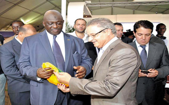   مصر اليوم - أجري مشاورات مع الكرتيلي للتحالف في انتخابات رئاسة اتحاد كرة القدم