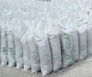 مصر اليوم - ضبط 33.700 طن ملح سياحات مخالف في بورسعيد