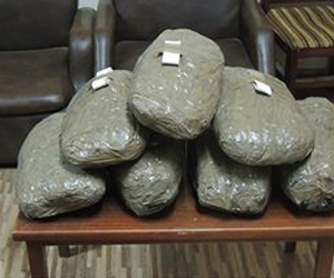 مصر اليوم - شرطة بورسعيد تضبط 30 كيلوغرامًا من البانجو