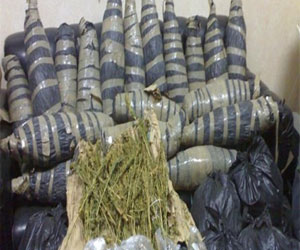 مصر اليوم - ضبط شقيِّين خطرين وبحوزتهما موادّ مخدِّرة في بورسعيد