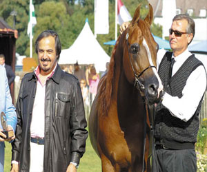 مصر اليوم - نتائج البطولة السعودية لجمال الخيل العربية