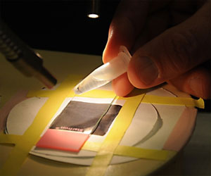   مصر اليوم - المغرب مهدد بانتشار الأمراض المنقولة بواسطة الحشرات