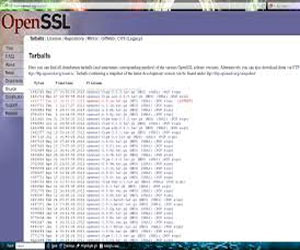 مصر اليوم - اكتشاف ثغرة أمنية خطيرة في برنامج OpenSSL